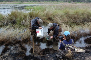 Students from Clemson’s Kennedy Waterfowl and Wetlands program sample invertebrates in Nemours impoundments.