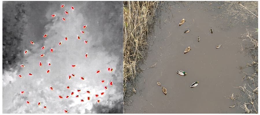 akshit 4 - Friends of Nemours: A Bird's-Eye View: Drone Science with a LIVE Demonstration