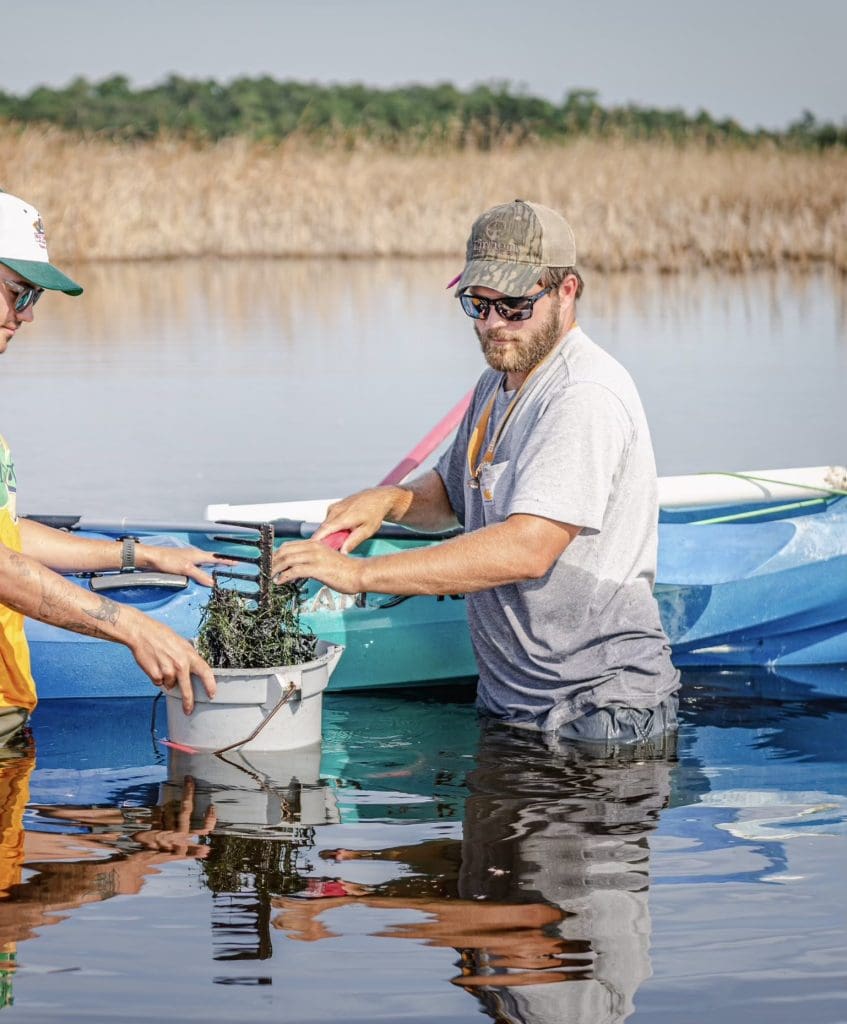 sampling - Introducing Stephen: Our New Wildlife Scientist